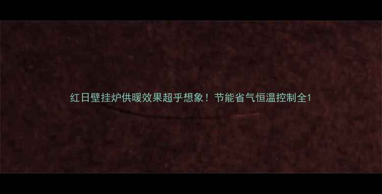 图片 红日壁挂炉供暖效果超乎想象！节能省气恒温控制全1