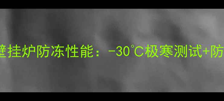 图片 罗密欧壁挂炉防冻性能：-30℃极寒测试+防冻设计2