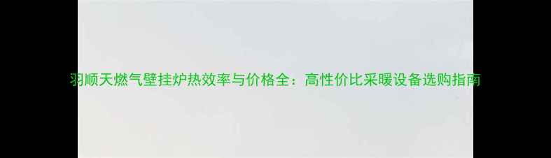图片 羽顺天燃气壁挂炉热效率与价格全：高性价比采暖设备选购指南