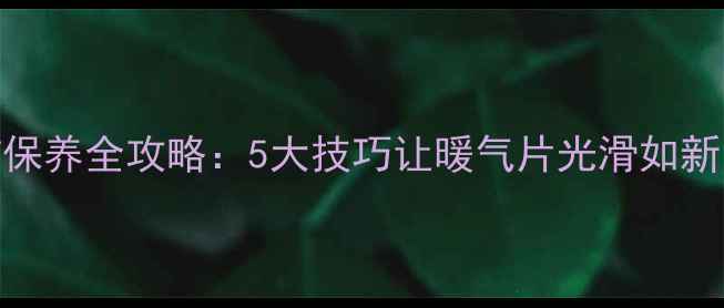 图片 老式暖气片清洁保养全攻略：5大技巧让暖气片光滑如新，延长使用寿命