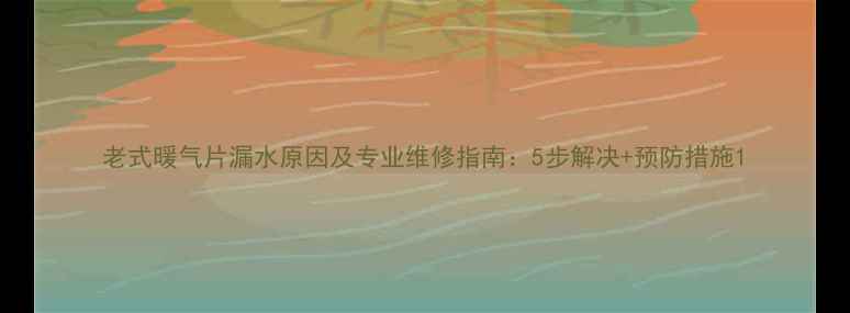 老式暖气片漏水原因及专业维修指南5步解决预防措施