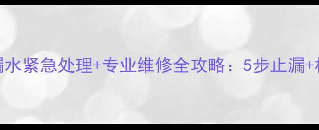 图片 老式暖气片漏水紧急处理+专业维修全攻略：5步止漏+材料选购指南