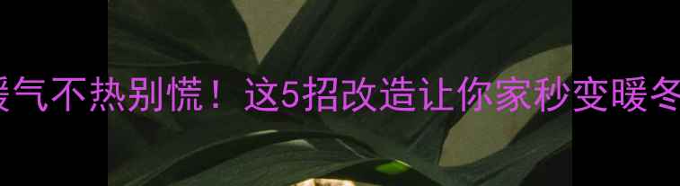 老房子暖气不热别慌这5招改造让你家秒变暖冬天堂