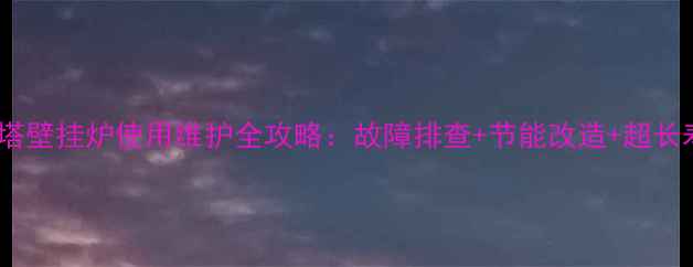 图片 老款博世贝雷塔壁挂炉使用维护全攻略：故障排查+节能改造+超长寿命保养指南2