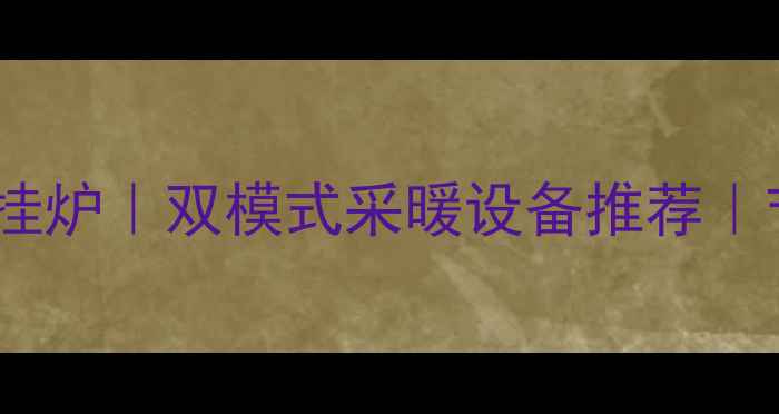 图片 能率地暖两用壁挂炉｜双模式采暖设备推荐｜节能省电全攻略2