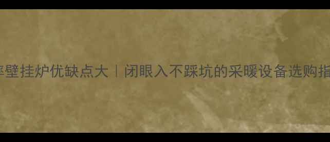 图片 能率壁挂炉优缺点大｜闭眼入不踩坑的采暖设备选购指南1