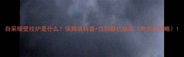 图片 自采暖壁挂炉是什么？保姆级科普+选购避坑指南（附安装攻略）1