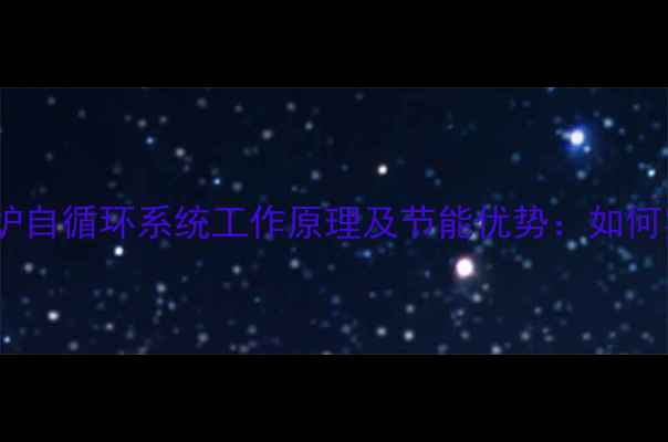 图片 自采暖燃气壁挂炉自循环系统工作原理及节能优势：如何实现高效供暖？1