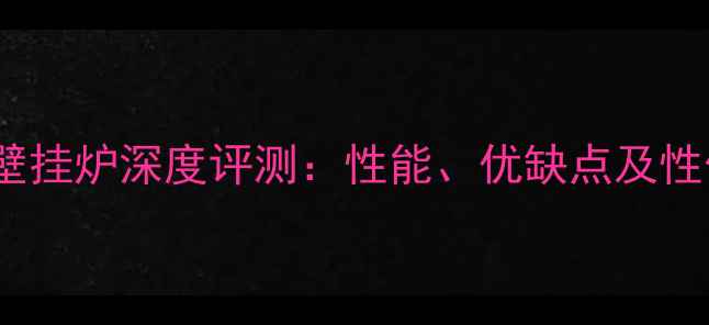图片 艾瑞克24壁挂炉深度评测：性能、优缺点及性价比分析2