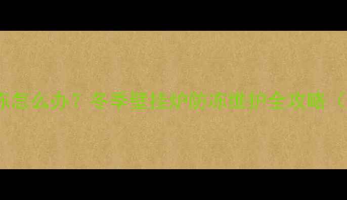 图片 艾瑞科壁挂炉不防冻怎么办？冬季壁挂炉防冻维护全攻略（附故障排除步骤）1