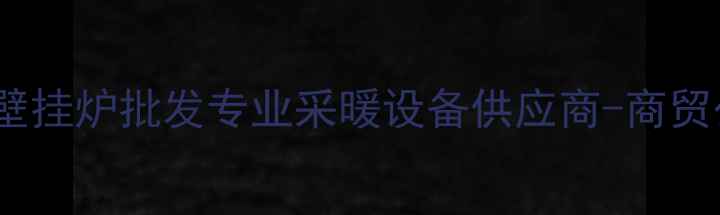 图片 节能壁挂炉批发专业采暖设备供应商-商贸公司1
