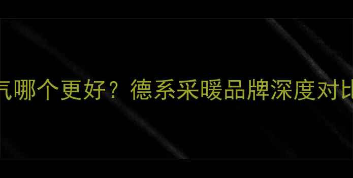 图片 菲斯曼VS威能暖气哪个更好？德系采暖品牌深度对比评测与选购指南