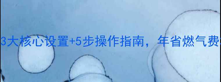 图片 菲斯曼地暖省气技巧｜3大核心设置+5步操作指南，年省燃气费3000+（附实测数据）1