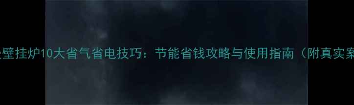 图片 菲斯曼壁挂炉10大省气省电技巧：节能省钱攻略与使用指南（附真实案例）1