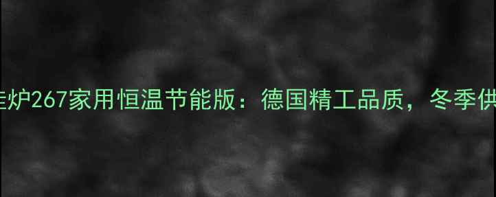 图片 菲斯曼壁挂炉267家用恒温节能版：德国精工品质，冬季供暖全攻略1