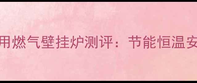 图片 菲斯曼壁挂炉E02家用燃气壁挂炉测评：节能恒温安全性能及安装指南1