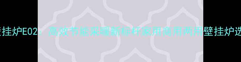 图片 菲斯曼壁挂炉E02：高效节能采暖新标杆家用商用两用壁挂炉选购指南1