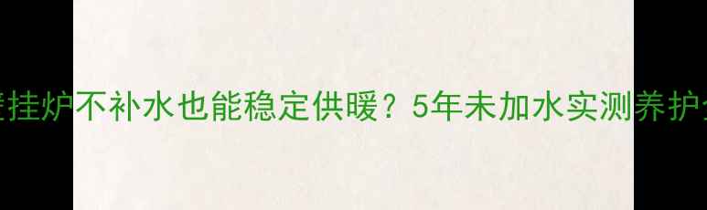 菲斯曼壁挂炉不补水也能稳定供暖5年未加水实测养护全公开