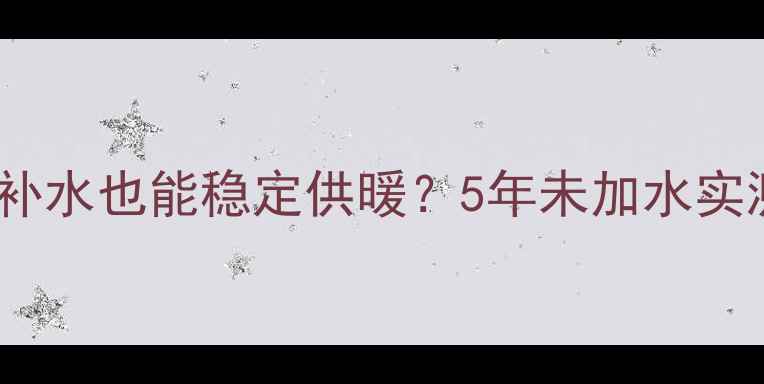 图片 菲斯曼壁挂炉不补水也能稳定供暖？5年未加水实测养护全公开！1