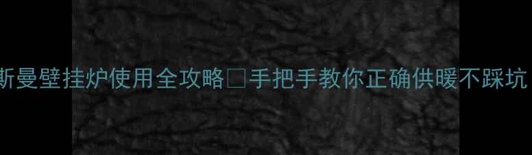 图片 菲斯曼壁挂炉使用全攻略✨手把手教你正确供暖不踩坑！1