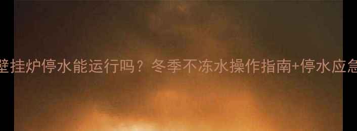 菲斯曼壁挂炉停水能运行吗冬季不冻水操作指南停水应急全攻略