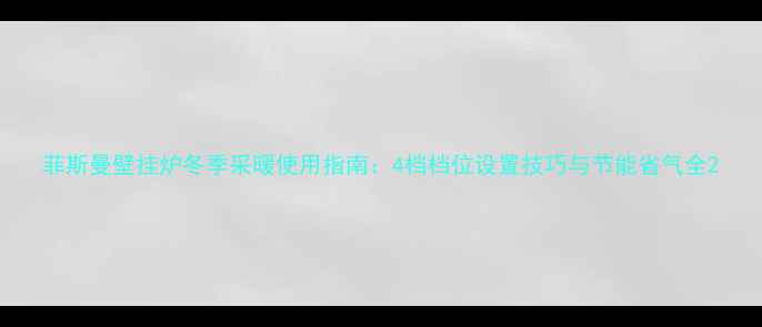 图片 菲斯曼壁挂炉冬季采暖使用指南：4档档位设置技巧与节能省气全2