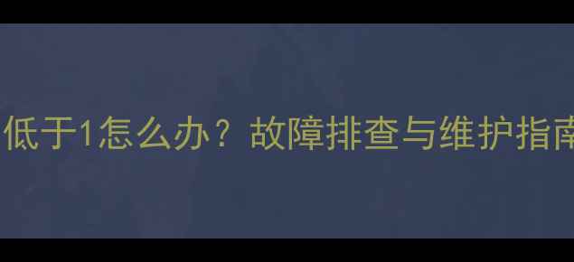 图片 菲斯曼壁挂炉压力低于1怎么办？故障排查与维护指南（附解决步骤）2