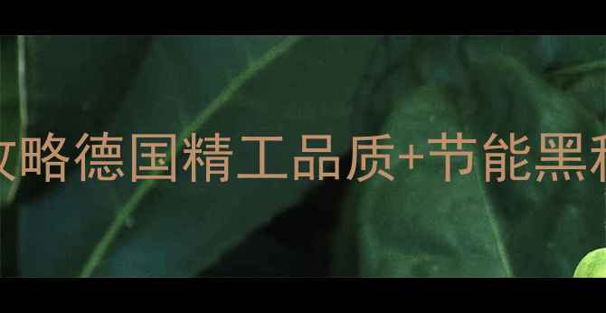 图片 菲斯曼壁挂炉天然气采暖全攻略德国精工品质+节能黑科技，北方家庭抄作业必看！