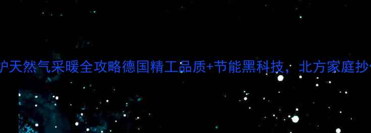 菲斯曼壁挂炉天然气采暖全攻略德国精工品质节能黑科技北方家庭抄作业必看