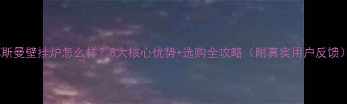 图片 菲斯曼壁挂炉怎么样？8大核心优势+选购全攻略（附真实用户反馈）1