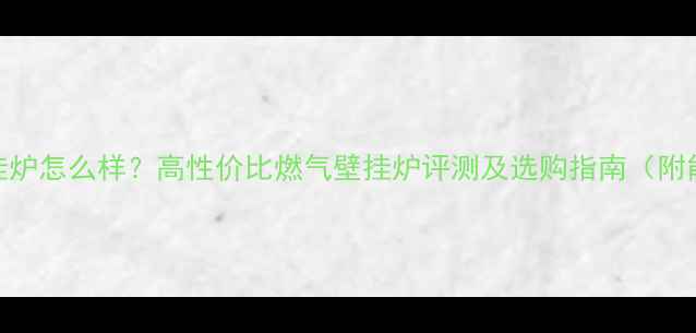 图片 菲斯曼壁挂炉怎么样？高性价比燃气壁挂炉评测及选购指南（附能效对比）