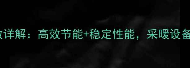 菲斯曼壁挂炉技术参数详解高效节能稳定性能采暖设备核心优势与适用场景