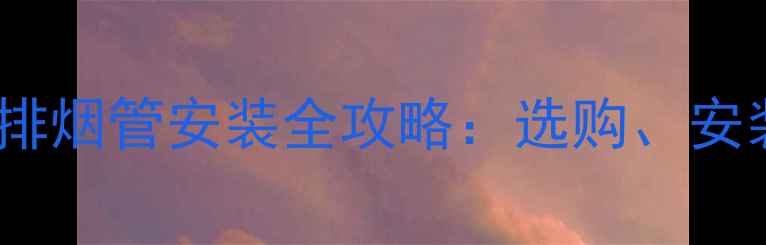 图片 菲斯曼壁挂炉排烟管安装全攻略：选购、安装及维护要点1