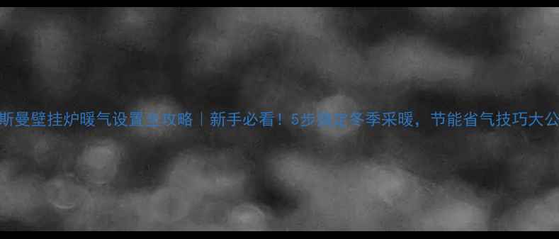 菲斯曼壁挂炉暖气设置全攻略新手必看5步搞定冬季采暖节能省气技巧大公开