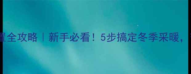 图片 菲斯曼壁挂炉暖气设置全攻略｜新手必看！5步搞定冬季采暖，节能省气技巧大公开2