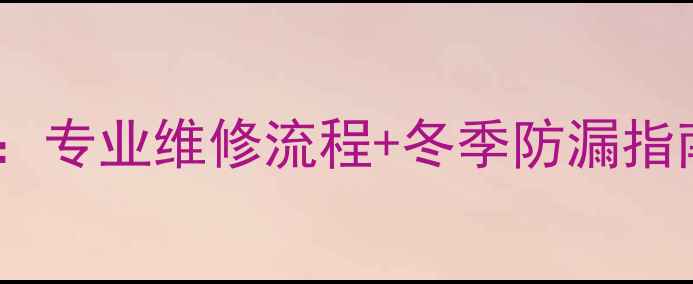 图片 菲斯曼壁挂炉漏水故障全：专业维修流程+冬季防漏指南（附24小时服务通道）1