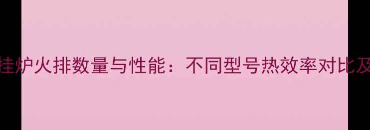 菲斯曼壁挂炉火排数量与性能不同型号热效率对比及选购指南