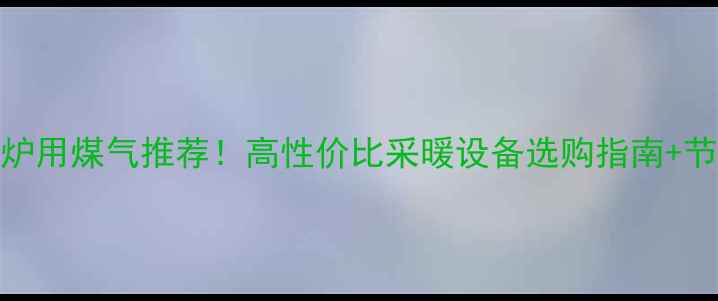 图片 菲斯曼壁挂炉用煤气推荐！高性价比采暖设备选购指南+节能环保攻略