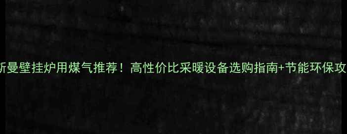 图片 菲斯曼壁挂炉用煤气推荐！高性价比采暖设备选购指南+节能环保攻略1
