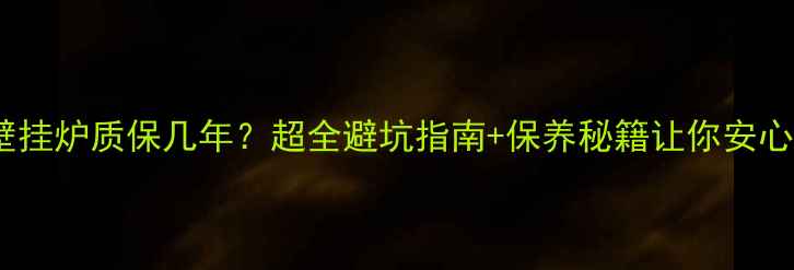 菲斯曼壁挂炉质保几年超全避坑指南保养秘籍让你安心暖冬