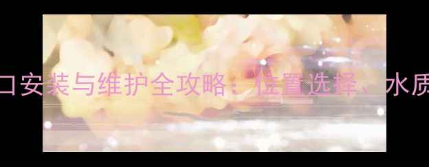 图片 菲斯曼壁挂炉进出水口安装与维护全攻略：位置选择、水质处理及故障排查指南