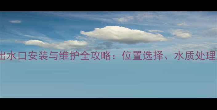 菲斯曼壁挂炉进出水口安装与维护全攻略位置选择水质处理及故障排查指南