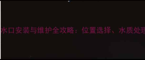 图片 菲斯曼壁挂炉进出水口安装与维护全攻略：位置选择、水质处理及故障排查指南2