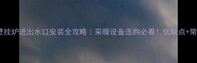 图片 菲斯曼壁挂炉进出水口安装全攻略｜采暖设备选购必看！优缺点+常见问题1