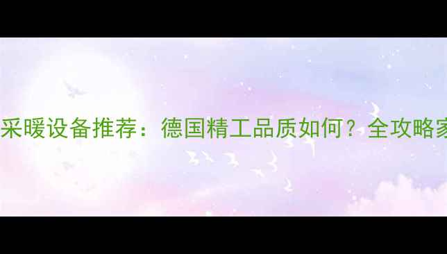 菲斯曼壁挂炉采暖设备推荐德国精工品质如何全攻略家用暖气选择