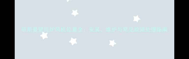 菲斯曼壁挂炉风机位置全安装维护与常见故障处理指南