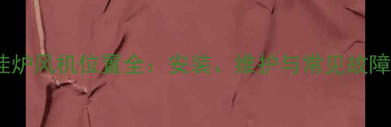 图片 菲斯曼壁挂炉风机位置全：安装、维护与常见故障处理指南2