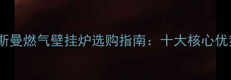 菲斯曼燃气壁挂炉选购指南十大核心优势
