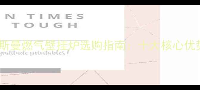 图片 菲斯曼燃气壁挂炉选购指南：十大核心优势2