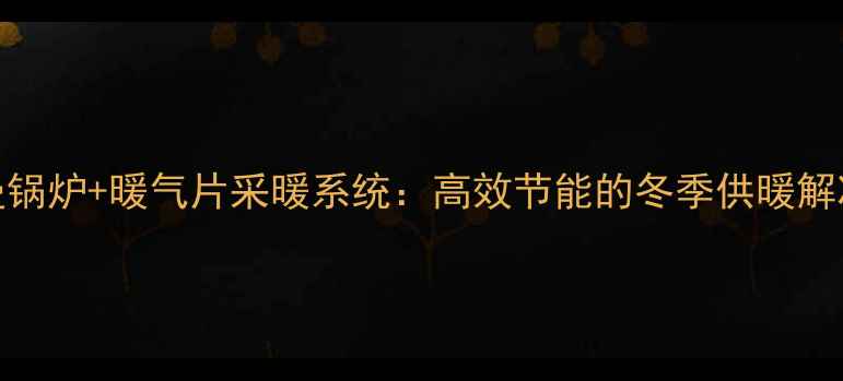 图片 菲斯曼锅炉+暖气片采暖系统：高效节能的冬季供暖解决方案